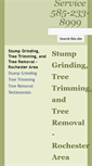 Mobile Screenshot of bestrochestertreeservice.com